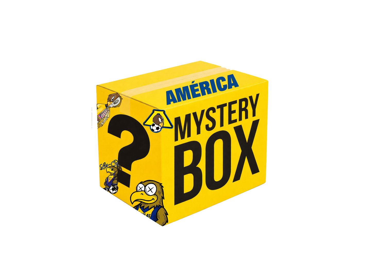 AMERICA HAT MYSTERY BOX