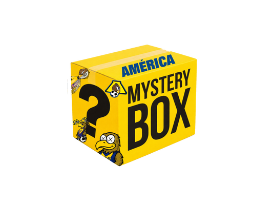 AMERICA HAT MYSTERY BOX